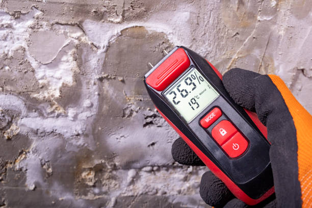 Mold Removal Process in Lakeview, NY