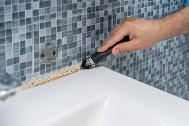 Best Local Mold Removal Service  in Lakeview, NY