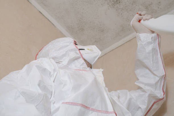 Best Attic Mold Removal  in Lakeview, NY